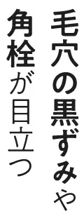 毛穴の黒ずみや角栓が目立つ