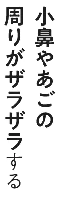 小鼻やあごの周りがザラザラする