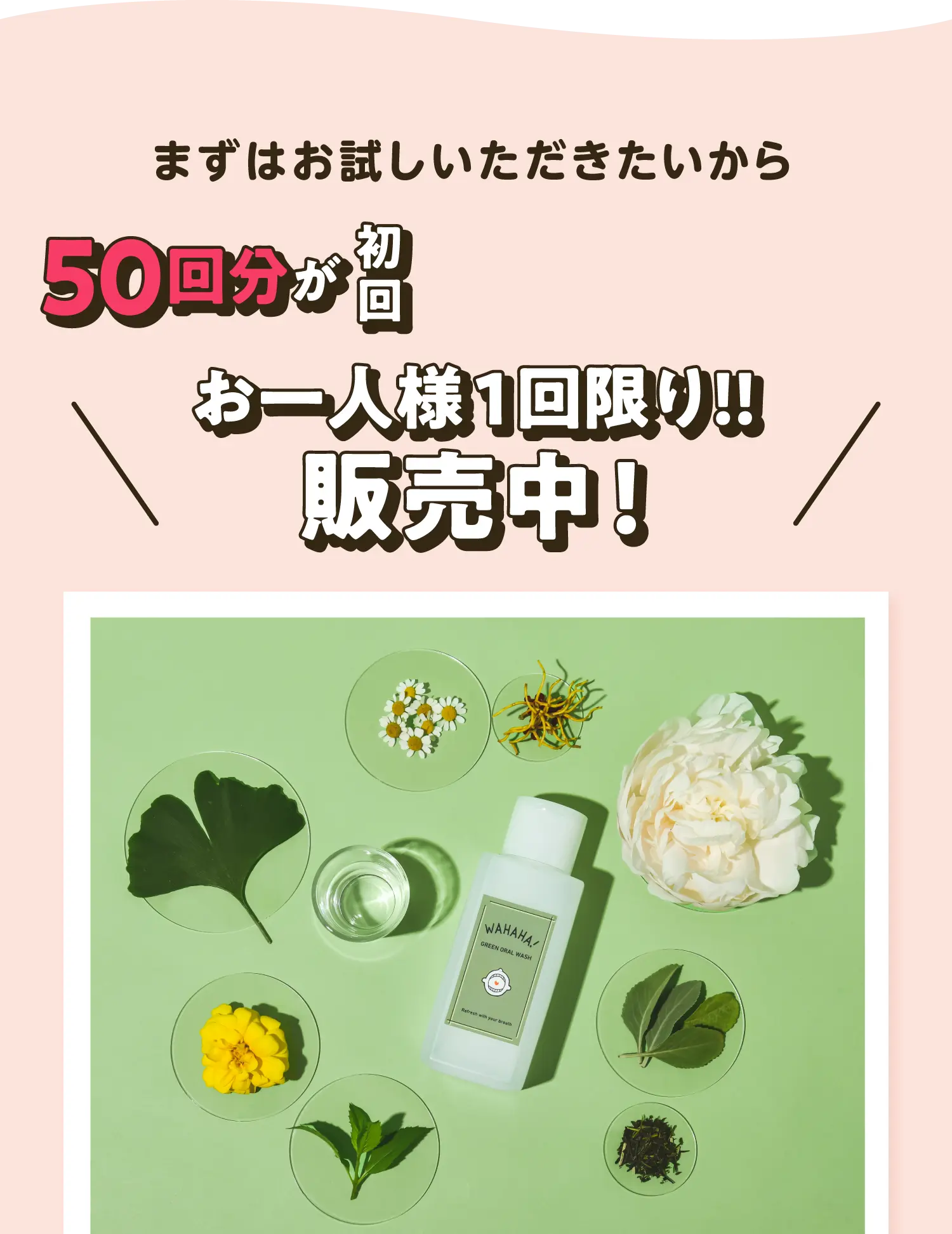 50回分が初回980円