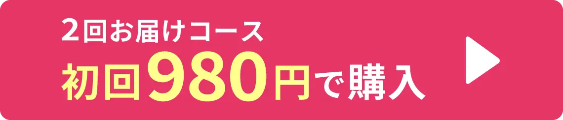 初回980円で購入