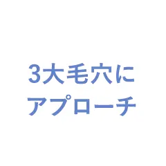 3大毛穴にアプローチ