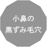 小鼻の黒ずみ毛穴