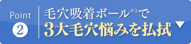 毛穴吸着ボールで3大毛穴悩みを払拭